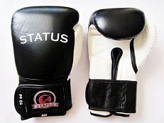 картинка Боксерские перчатки тренировочные на липучке от магазина TSP-SHOP